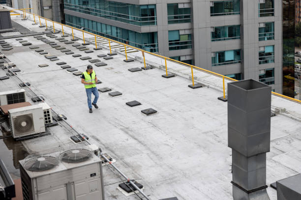 Best Solar Panel Roofing Installation  in St Paul, TX